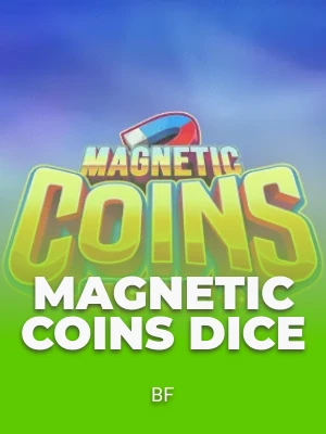 Magnetic Coins Dice