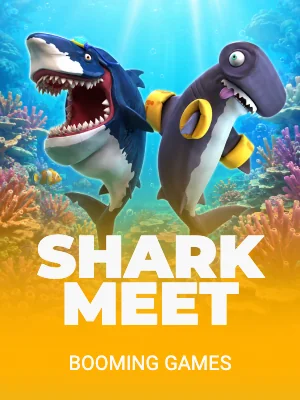 Shark Meet