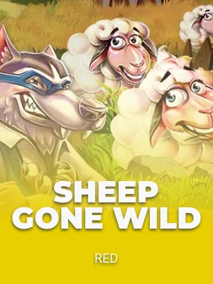 Sheep Gone Wild