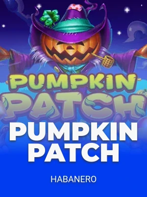 Pumpkin Patch