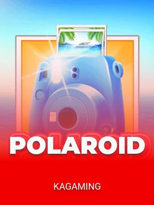 Polaroid