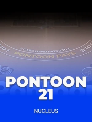 Pontoon 21