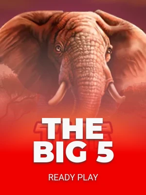The Big 5