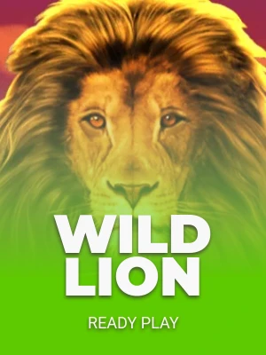 Wild Lion