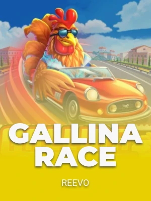 Gallina Race
