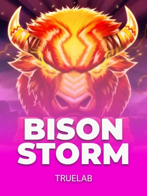 Bison Storm